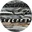 [OA2504C5] OA2504 (C5)